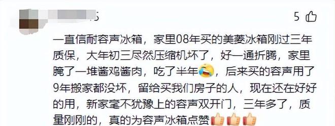 花如今三家易主只剩下一家成为一线品牌龙八国际娱乐网站中国冰箱界的四朵金(图7)