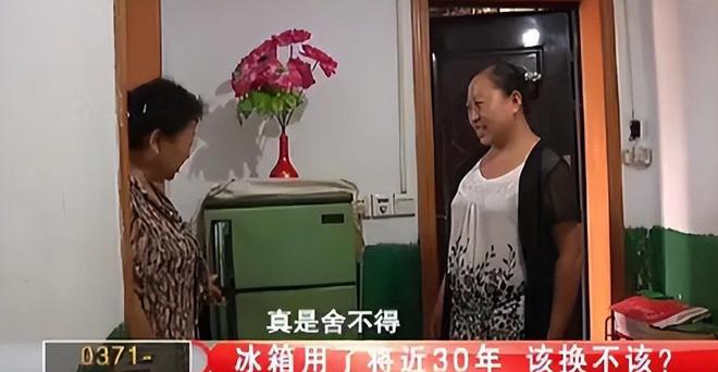 花如今三家易主只剩下一家成为一线品牌龙八国际娱乐网站中国冰箱界的四朵金(图13)