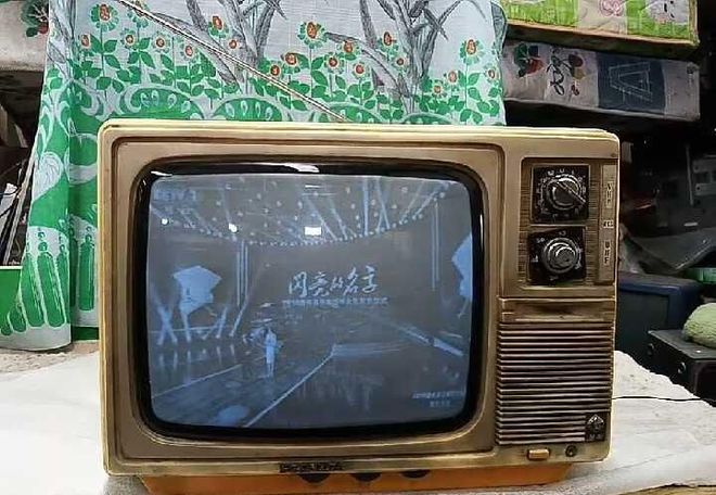 花如今三家易主只剩下一家成为一线品牌龙八国际娱乐网站中国冰箱界的四朵金(图4)