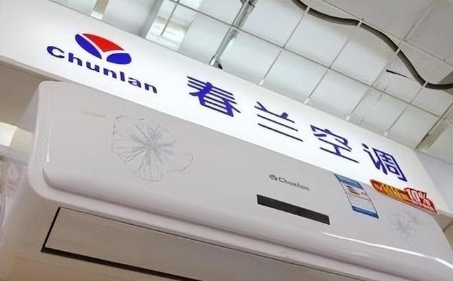 花如今三家易主只剩下一家成为一线品牌龙八国际娱乐网站中国冰箱界的四朵金(图9)